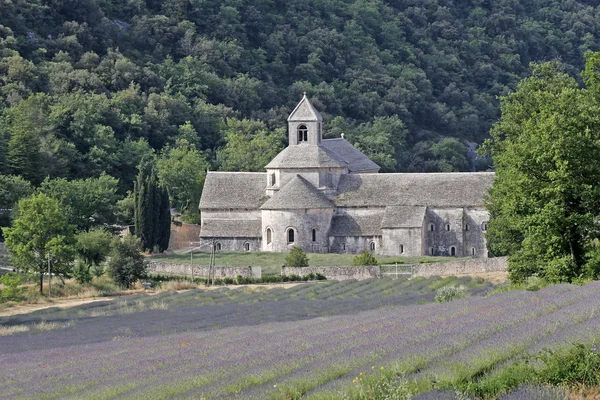 Abbaye notre-dame de senanque, Frankrike — Stockfoto