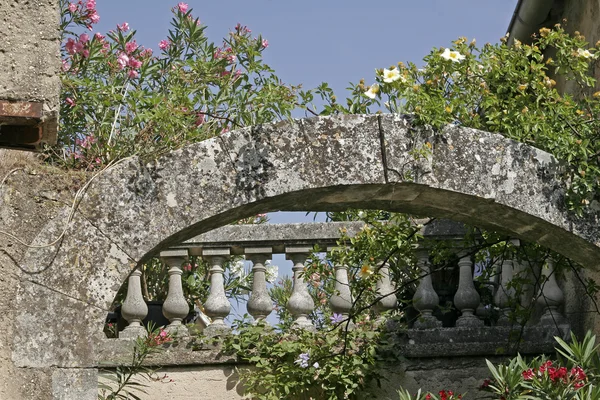 Ворота с розами, Прованс, Франция — стоковое фото