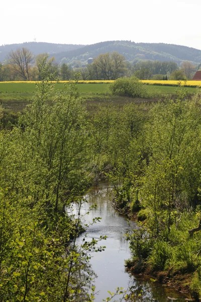 Liten bäck i Niedersachsen, Tyskland — Stockfoto