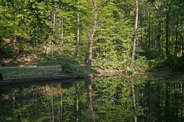 Tavasszal a víz tükrözi a tó — Stock Fotó