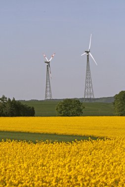 Wind power station with rape field clipart