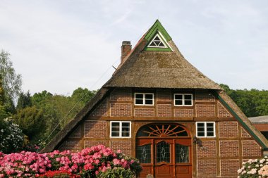 House with straw roof and Azaleas clipart