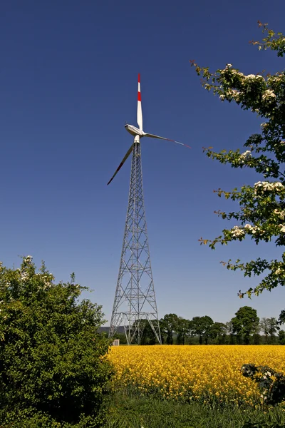 Wind power station with rape field — Stock Photo, Image