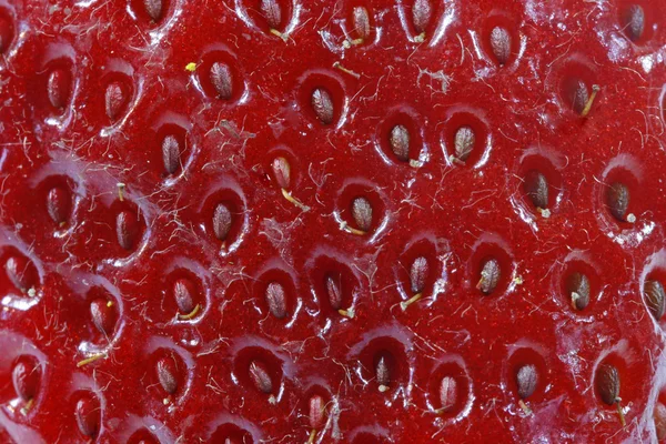 Red ripe Strawberry — Stock Photo, Image