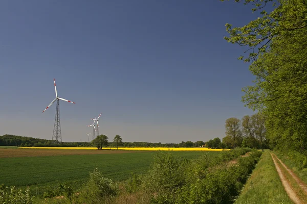 Wind power station with rape field — Stock Photo, Image