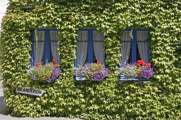 브리트니 파란 창문 집 — 스톡 사진