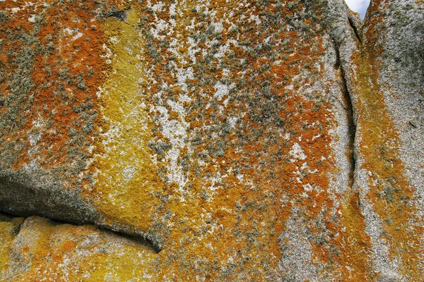 Big stone with lichen, Brittany, France — Stock Photo, Image