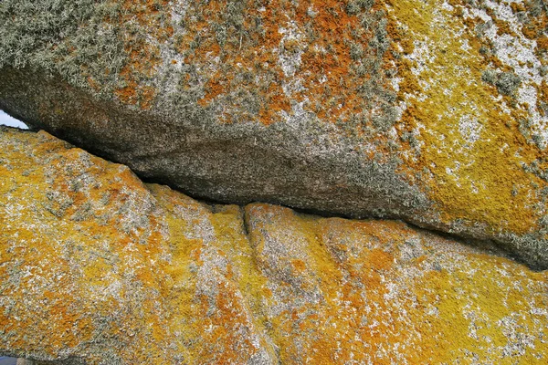 Big stone with lichen, Brittany, France — Stock Photo, Image