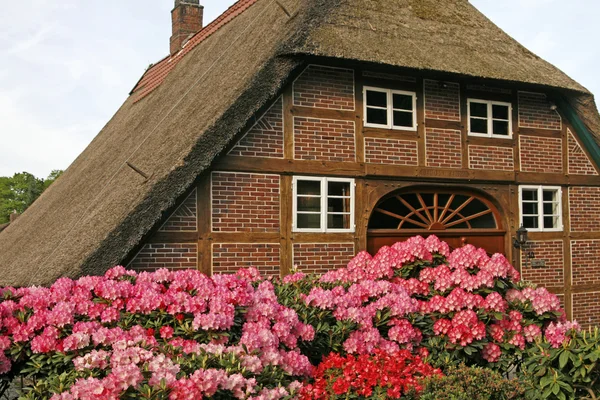Casa con tetto di paglia e azalee — Foto Stock