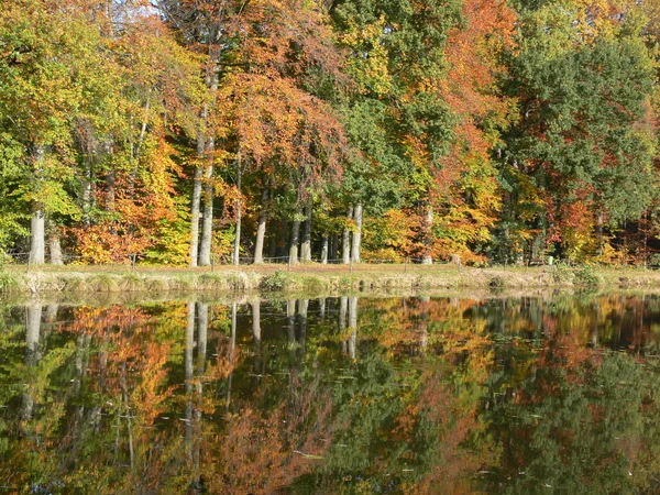 Pond with water reflection in autumn — Stock Photo, Image