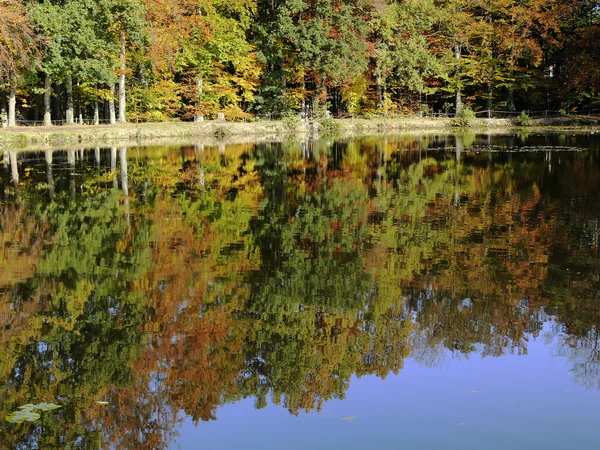 Stagno con riflesso dell'acqua in autunno — Foto Stock