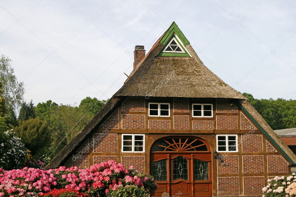 House with straw roof and Azaleas