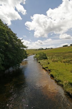 Dartmoor, devon, iki köprü, cornwall