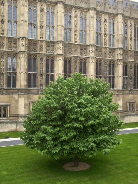 Huset av parlamentet, london, Storbritannien — Stockfoto