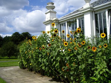 Kew Garden, London, UK clipart