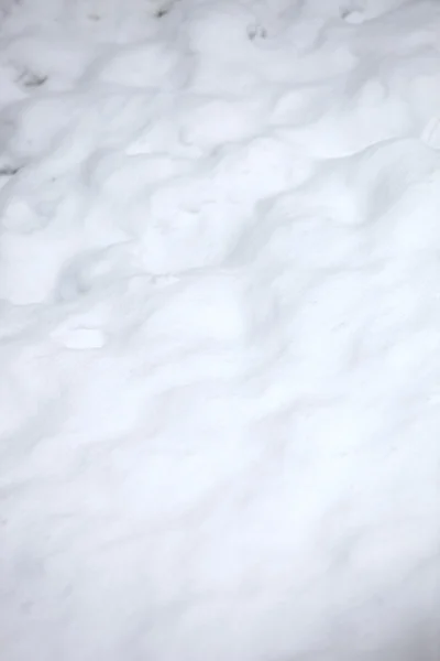 Снег — стоковое фото