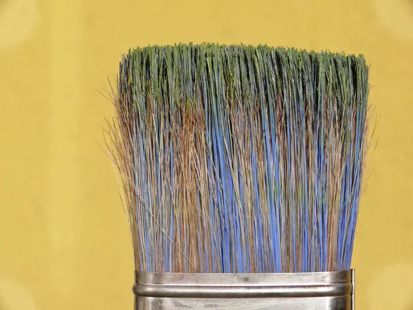 Colorful paint brushes — Stock Photo, Image