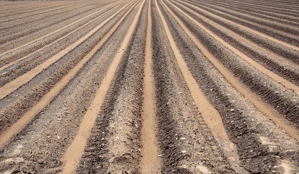 stock image Patterned ground