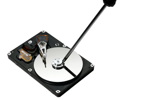 Stock image Hard disk and screwdriver isolated