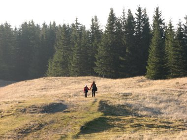 Aile zammı.