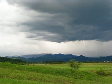 Thunderstorm. clipart