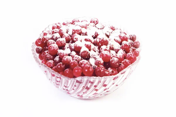 Cranberry — Stock Photo, Image
