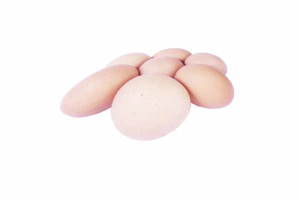 stock image Eggs