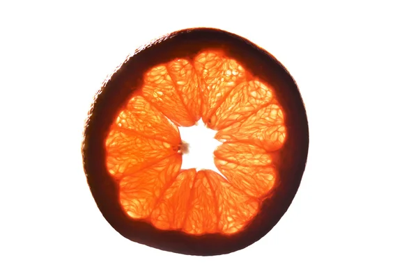 Grapefruit — Stock fotografie