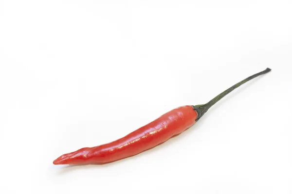 stock image Fresh chili