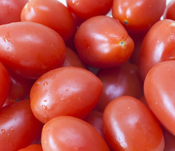 Stock image Plum tomatoes