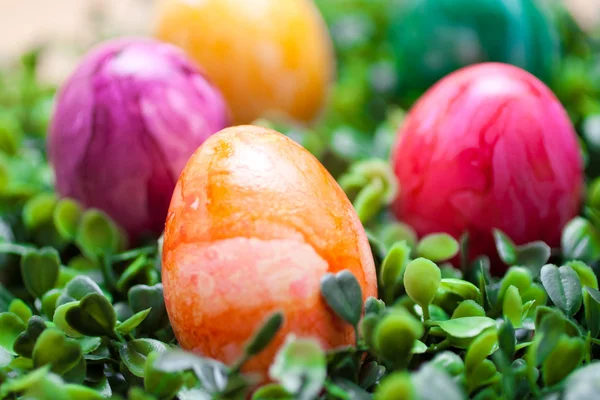 Eastern - colored eggs — Stock Photo, Image