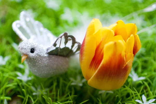 Bird near to tulip — Stock Photo, Image