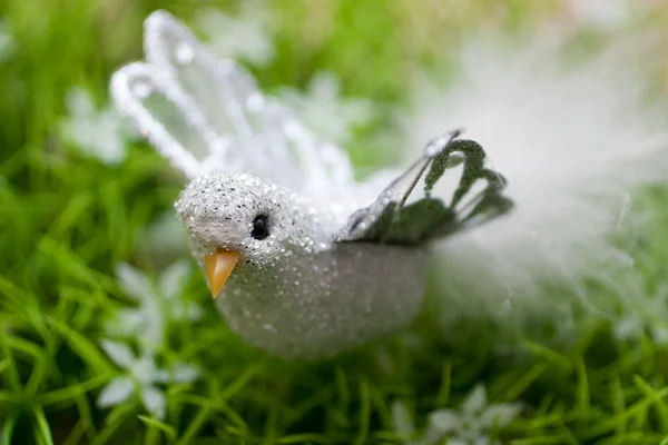 Lilla silver bird på gräs — Stockfoto