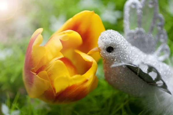 Pássaro bebe néctar Fotos De Bancos De Imagens