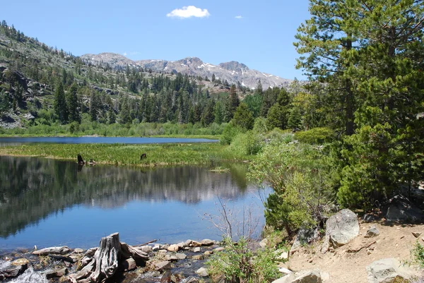 stock image Mountain Lake