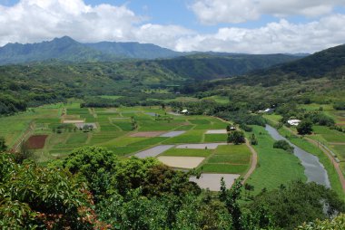 Hanalei'deki Vadisi, kauai