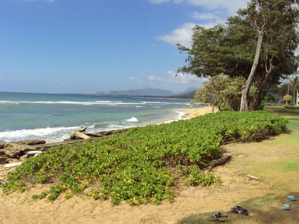 Kauai Beach — Stok fotoğraf