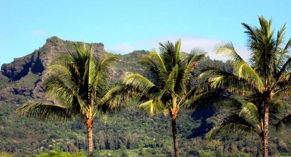 stock image Sleeping Giant, Kauai