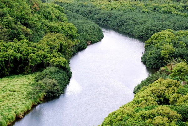 Wailua River Stockfoto