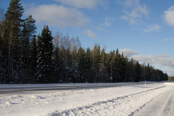 stock image Winter