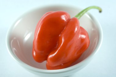 Habanero chillie beyaz bir plaka üzerinde