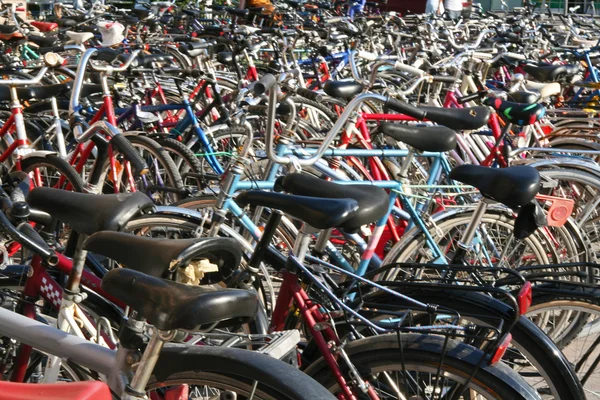 stock image Bicycles