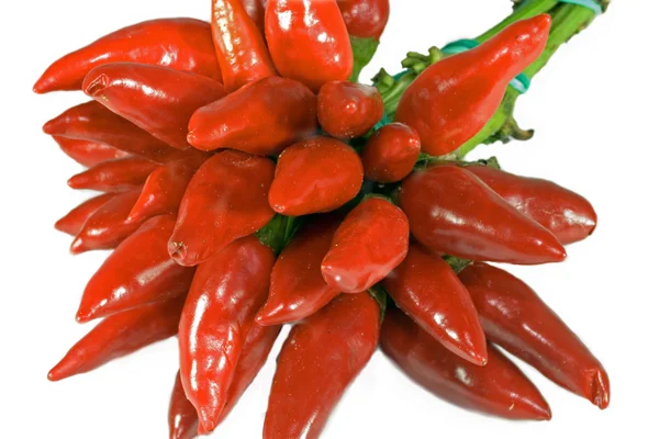 Csokor friss piros chili, fehér — Stock Fotó