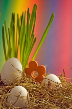 Buntes Nest zu Ostern clipart