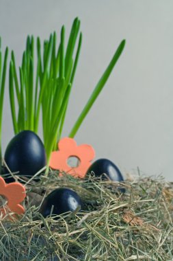 Buntes zu ostern iç içe.