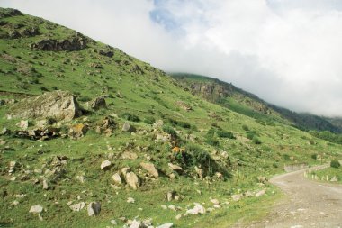 Dağlar