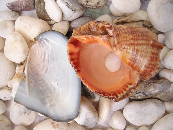 Bowls on a pebble — Stock Photo, Image