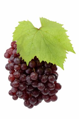 Fresh Red Grapes clipart
