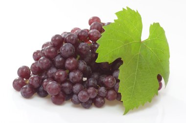 Red Grapes clipart