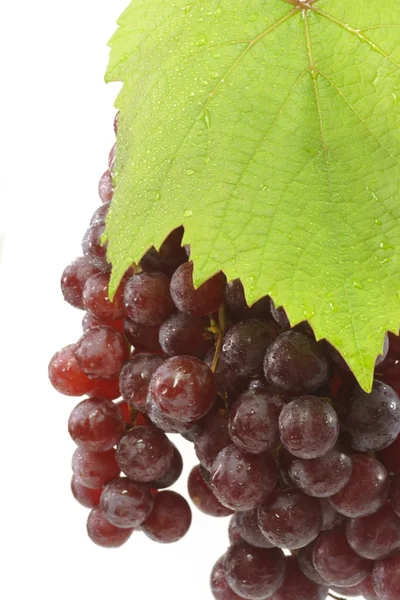 Juicy Red Grapes — Stock Photo, Image